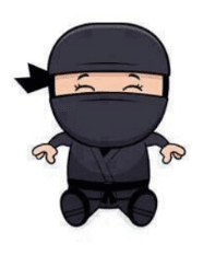 SalezDojo Ninja